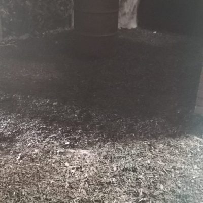 1650035537153 (1)ROMA