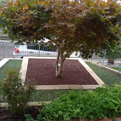Realizzazione giardino con corteccia a colata