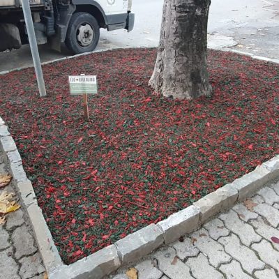 Comune di Aulla mix verde muschio, rosso Ferrari