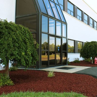 Corteccia colorata Rossa