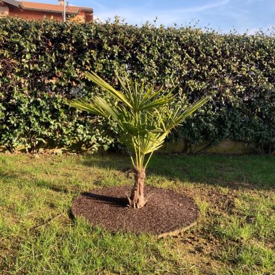 IMG-20240131-WA0003 (1)