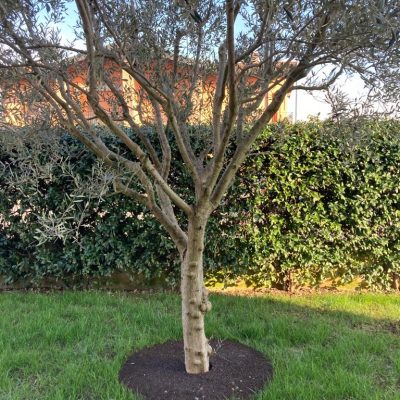 IMG-20240131-WA0004 (1)