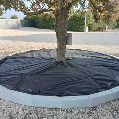 Inizio lavori corteccia a colata