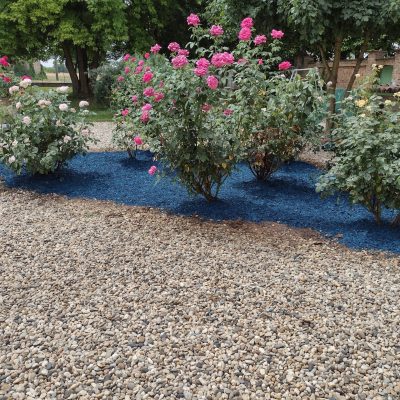 Corteccia colorata azzurro