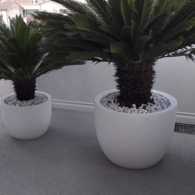 Terrazzo di corteccia a colata