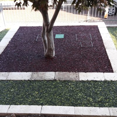 Realizzazione giardino con corteccia a colata