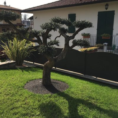 e72f15a9-ced9-47d6-ae65-dd2f4a41710c (1)