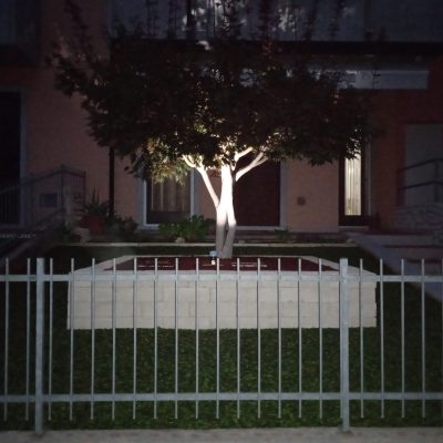 Giardino a colata di notte